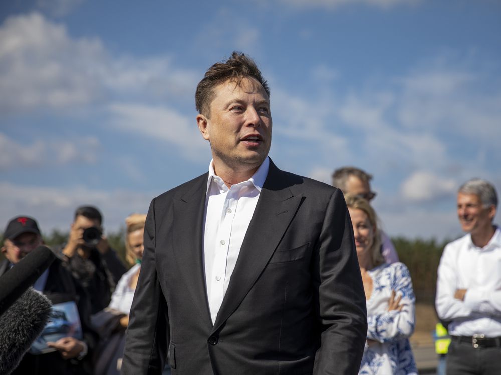 Tỷ phú Elon Musk lên Twitter hỏi cách làm từ thiện - Ảnh 1.