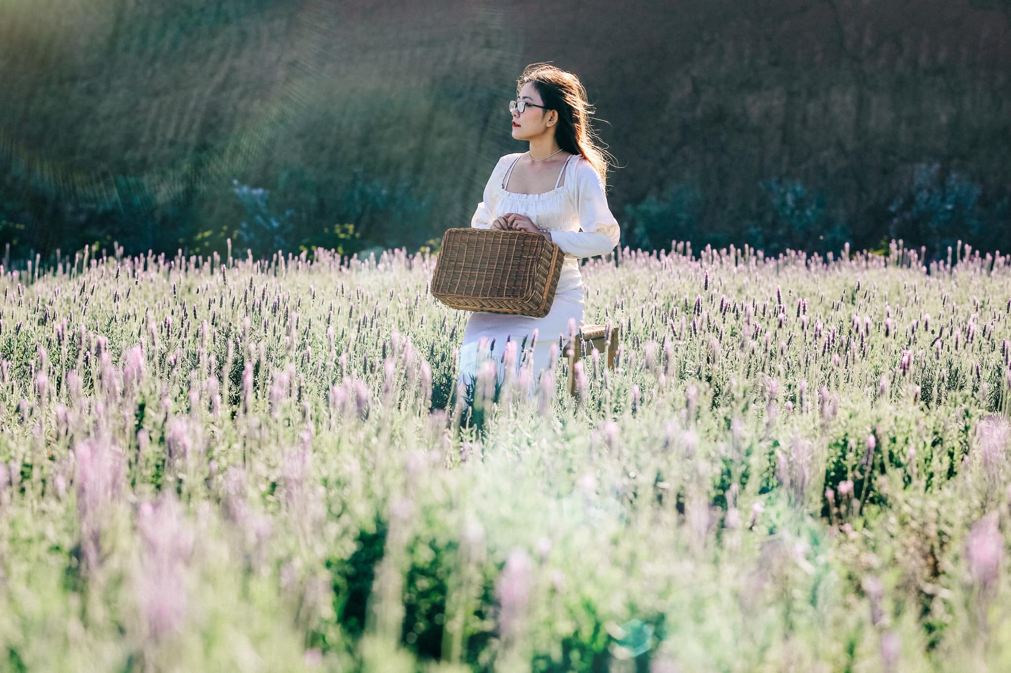 Check-in Vườn hoa lavender Túi Thương Nhớ, điểm đến ‘mới toanh’ tại Đà Lạt - Ảnh 1. Check-in Vườn hoa lavender Túi Thương Nhớ, điểm đến ‘mới toanh’ tại Đà Lạt - Ảnh 1.