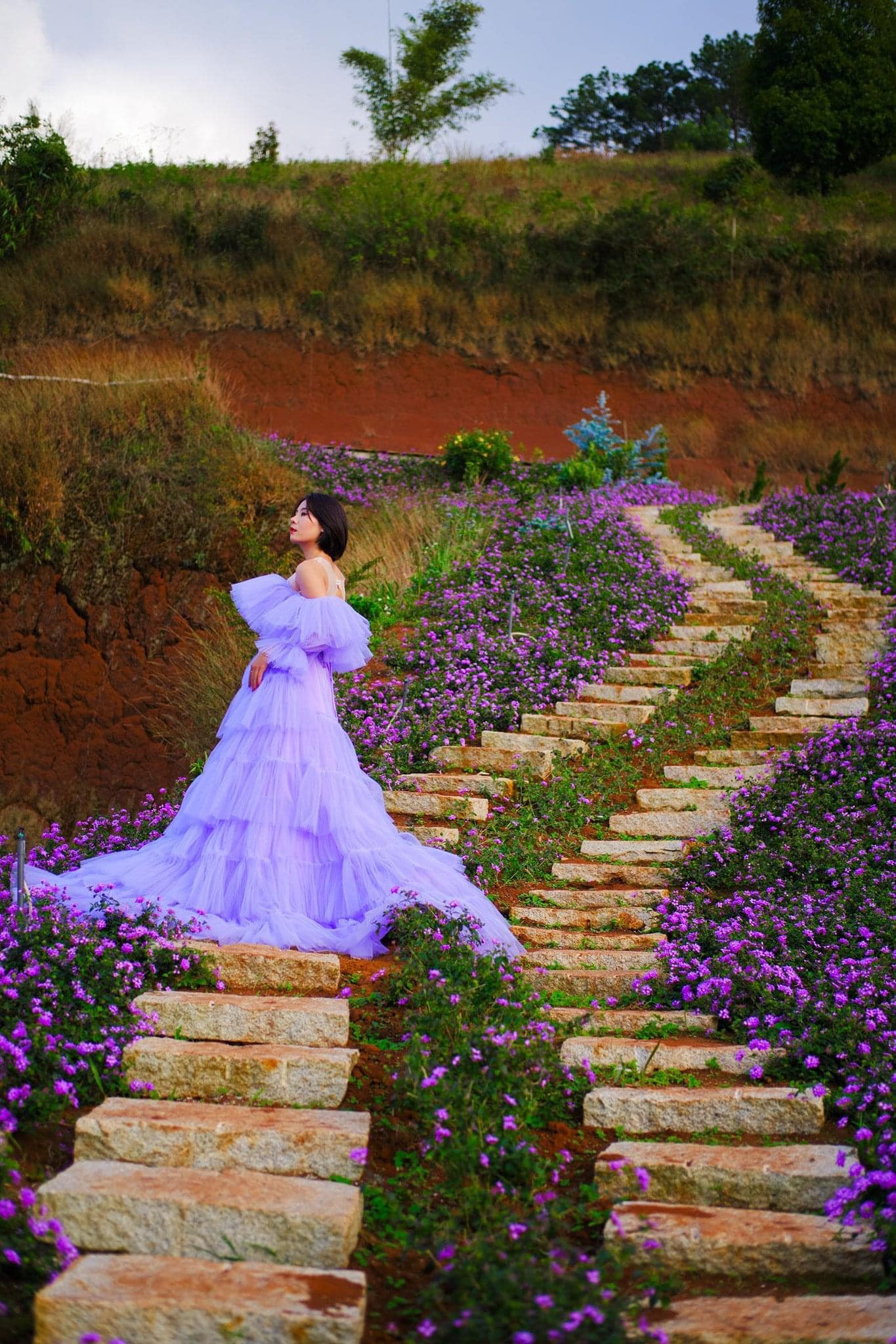 Check-in Vườn hoa lavender Túi Thương Nhớ, điểm đến ‘mới toanh’ tại Đà Lạt - Ảnh 8. Check-in Vườn hoa lavender Túi Thương Nhớ, điểm đến ‘mới toanh’ tại Đà Lạt - Ảnh 8.