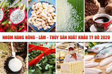Các nhóm hàng nông, lâm, thủy sản xuất khẩu tỷ USD trong năm 2020