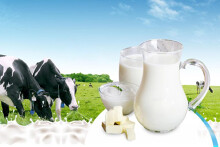 SSI Research: Cạnh tranh ngành sữa tăng nhiệt nhờ Masan, lợi nhuận Vinamilk dự kiến tăng 7,4% năm 2021