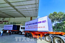 Lô gạo đầu tiên năm 2021 xuất khẩu sang Singapore và Malaysia