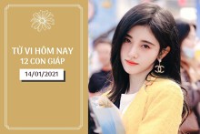 Tử vi hàng ngày hôm nay 14/1 của 12 con giáp: Dần nên chủ động hơn, Mão tương lai rộng mở
