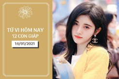 Tử vi hàng ngày hôm nay 14/1 của 12 con giáp: Dần nên chủ động hơn, Mão tương lai rộng mở