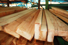 Giá gỗ xây dựng tại Hà Nội mới nhất: Gỗ cốt pha 2 triệu đồng/m3