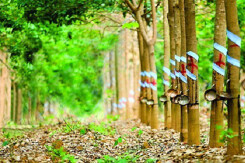 Vinaruco (VRG) chỉ lãi 160 triệu trong ba tháng cuối năm do không có khách thuê KCN