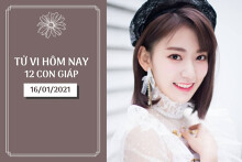 Tử vi hàng ngày hôm nay 16/1 của 12 con giáp: Ngọ may mắn công việc, Mùi lục đục chuyện tình cảm