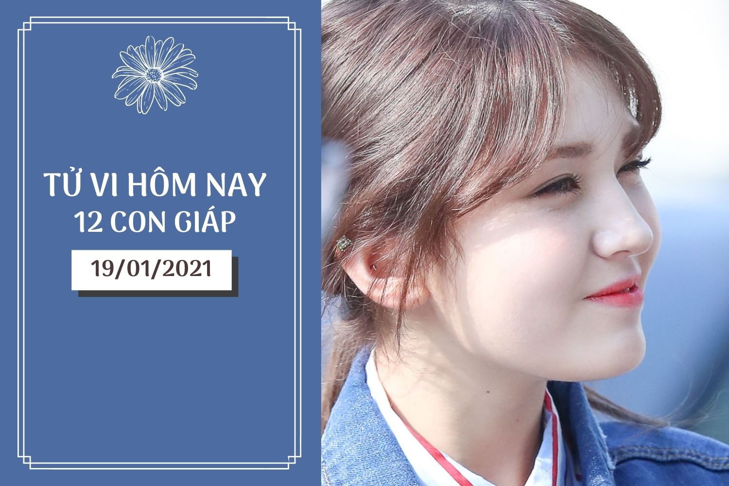 Tử vi hàng ngày hôm nay 19/1 của 12 con giáp: Tý may mắn tình cảm, Sửu nên thận trọng hơn  - Ảnh 1.