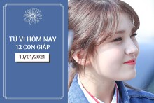 Tử vi hàng ngày hôm nay 19/1 của 12 con giáp: Tý may mắn tình cảm, Sửu nên thận trọng hơn