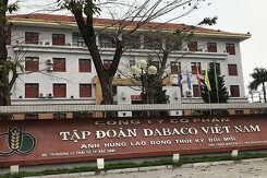Dabaco lãi 263 tỷ đồng trong ba tháng cuối năm