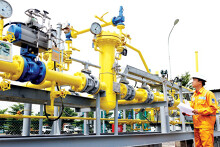 PV GAS D lãi hơn 200 tỷ đồng năm 2020