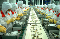 Thực phẩm Sao Ta lãi gần 64 tỷ đồng ba tháng cuối năm 2020