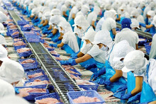 Vĩnh Hoàn chỉ lãi 153 tỷ đồng do giá và sản lượng bán ra giảm trong quý IV/2020