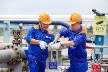 PLC báo lãi 181 tỷ đồng năm 2020