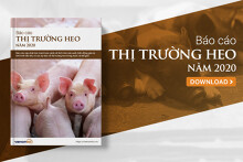 Thị trường heo hơi năm 2020 chịu tác động mạnh bởi dịch ASF và covid-19