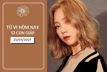 Tử vi hàng ngày hôm nay 21/1 của 12 con giáp: Thìn có quý nhân phù trợ, Tỵ chớ nên cả tin