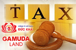 Hai DN bất động sản tại TP HCM nợ thuế hàng trăm tỷ đồng kinh doanh ra sao?