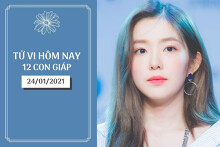 Tử vi hàng ngày hôm nay 24/1 của 12 con giáp: Tuất có điềm tranh chấp, Hợi tài lộc trung bình
