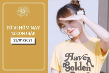 Tử vi hàng ngày hôm nay 25/1 của 12 con giáp: Sửu công việc thoải mái, Tý nên rõ ràng chuyện tiền bạc