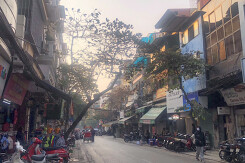 Giá đất phố Bát Đàn, Hoàn Kiếm, Hà Nội