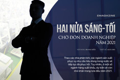 Hai nửa sáng - tối chờ đón doanh nghiệp năm 2021