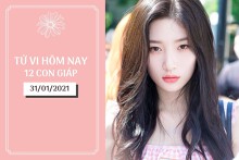 Tử vi hàng ngày hôm nay 31/1 của 12 con giáp: Tý xích mích tình cảm, Sửu rộng mở cơ hội thăng tiến