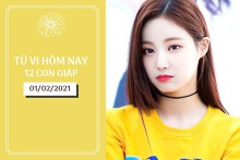 Tử vi hàng ngày hôm nay 1/2 của 12 con giáp: Dần tình duyên khởi sắc, Mão nên cảnh giác với người lạ