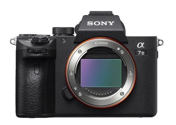 Nên sử dụng máy ảnh Mirrorless hay DSLR? - Ảnh 10.