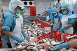 Xuất khẩu cá tra sang Anh có thể tăng mạnh trong năm 2020