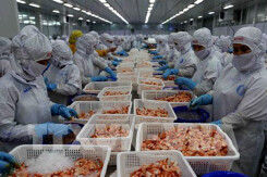 Xuất khẩu tôm có nhiều lợi thế cạnh tranh trước các đối thủ trong năm 2021