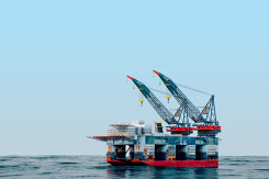 Giá xăng dầu hôm nay 7/1: Giảm nhẹ sau khi đạt mức cao nhất 10 tháng