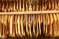 Mỹ giảm nhập khẩu cao su ở nhiều thị trường