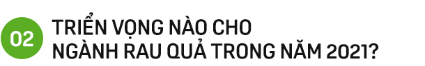 COVID-19 khiến xuất khẩu rau quả lỡ hẹn 4 tỷ USD, kỳ vọng được dời sang năm 2021 - Ảnh 3.
