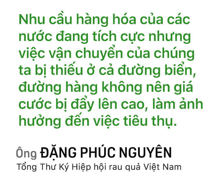 COVID-19 khiến xuất khẩu rau quả lỡ hẹn 4 tỷ USD, kỳ vọng được dời sang năm 2021 - Ảnh 8.