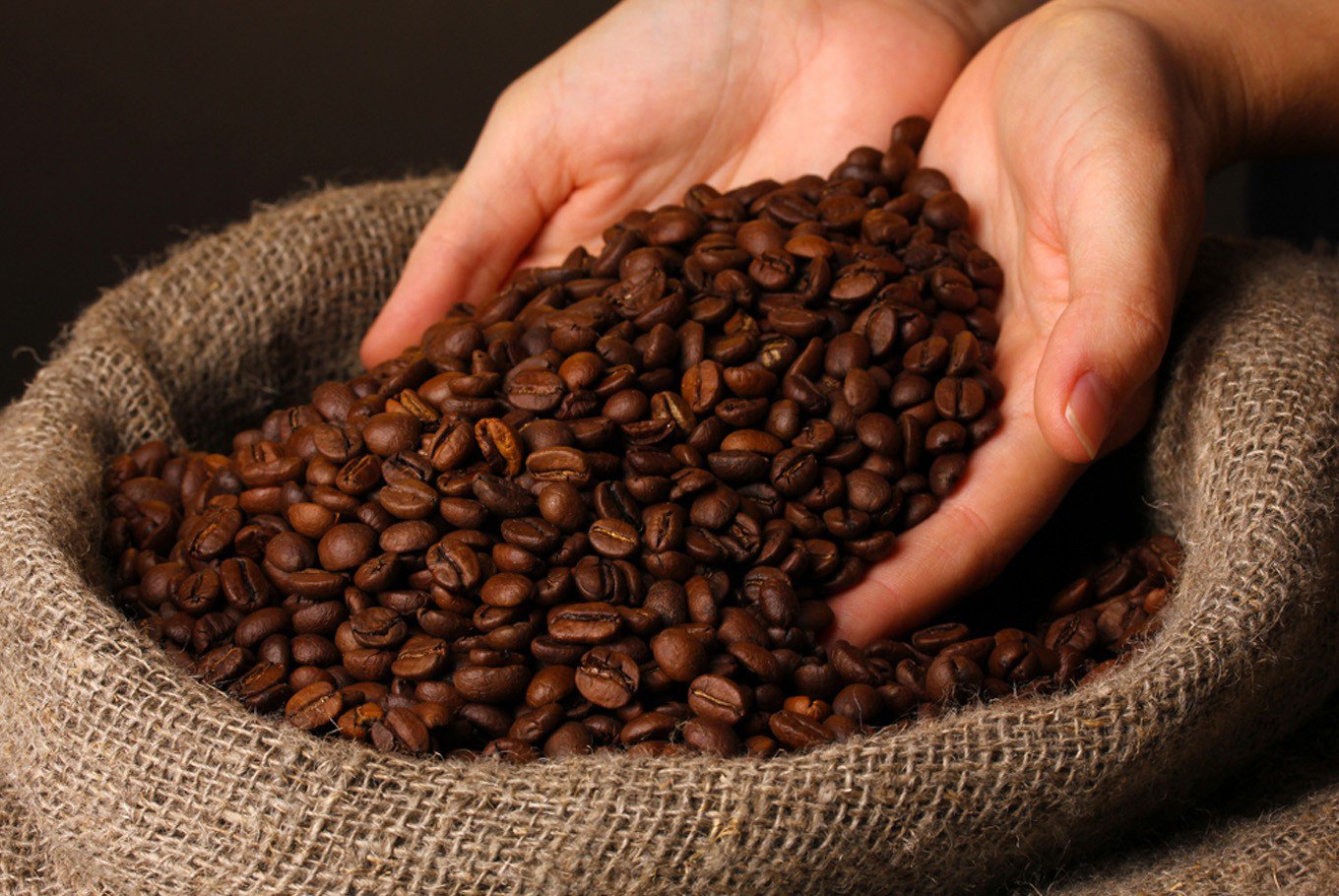 ICO: Nhập khẩu cà phê toàn cầu giảm 4,5% trong niên vụ 2019 - 2020 - Ảnh 1. ICO: Nhập khẩu cà phê toàn cầu giảm 4,5% trong niên vụ 2019 - 2020 - Ảnh 1.