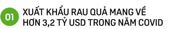 COVID-19 khiến xuất khẩu rau quả lỡ hẹn 4 tỷ USD, kỳ vọng được dời sang năm 2021 - Ảnh 1.