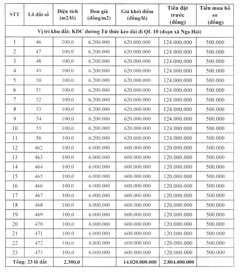 Thanh Hóa đấu giá 50 lô đất tại Nga Sơn, khởi điểm từ 500 triệu đồng/lô - Ảnh 2. Thanh Hóa đấu giá 50 lô đất tại Nga Sơn, khởi điểm từ 500 triệu đồng/lô - Ảnh 2.