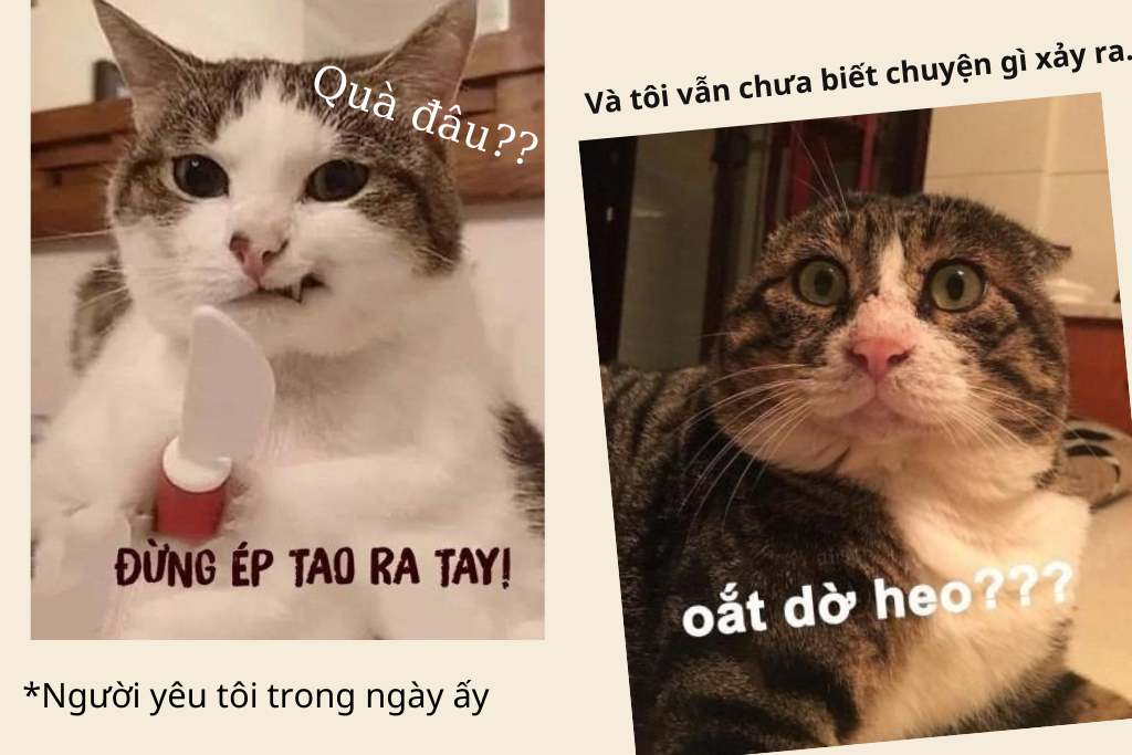 Top những hình ảnh meme hài hước và vui nhộn nhân ngày 20/10 - Ảnh 9. Top những hình ảnh meme hài hước và vui nhộn nhân ngày 20/10 - Ảnh 9.