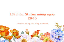 Top những lời chúc, status mừng ngày 20/10 hay, ý nghĩa và hài hước năm 2021