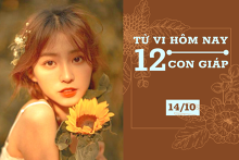 Tử vi hàng ngày hôm nay 14/10 của 12 con giáp: Thìn đạt kết quả mỹ mãn, Mùi cẩn thận bị lừa gạt