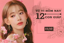 Tử vi hàng ngày hôm nay 15/10 của 12 con giáp: Tỵ sự nghiệp chín muồi, Thân tình cảm trắc trở