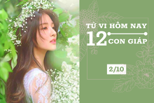 Tử vi hàng ngày hôm nay 2/10 của 12 con giáp: Dần cần tập trung hơn, Ngọ tài lộc kém sắc