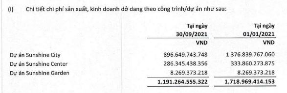 Sunshine Homes báo lãi 9 tháng cao gấp 65 lần cùng kỳ nhờ các khoản chuyển nhượng - Ảnh 2. Sunshine Homes báo lãi 9 tháng cao gấp 65 lần cùng kỳ nhờ các khoản chuyển nhượng - Ảnh 2.