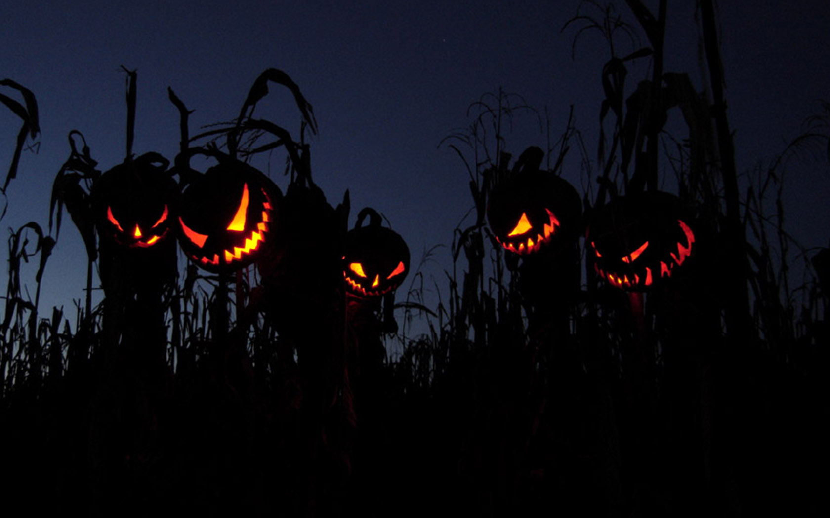 Tổng hợp những hình ảnh về ngày Halloween đẹp, dễ thương và kinh dị - Ảnh 17. Tổng hợp những hình ảnh về ngày Halloween đẹp, dễ thương và kinh dị - Ảnh 17.