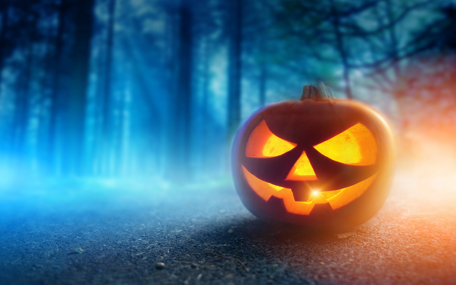 Tổng hợp những hình ảnh về ngày Halloween đẹp, dễ thương và kinh dị - Ảnh 16. Tổng hợp những hình ảnh về ngày Halloween đẹp, dễ thương và kinh dị - Ảnh 16.