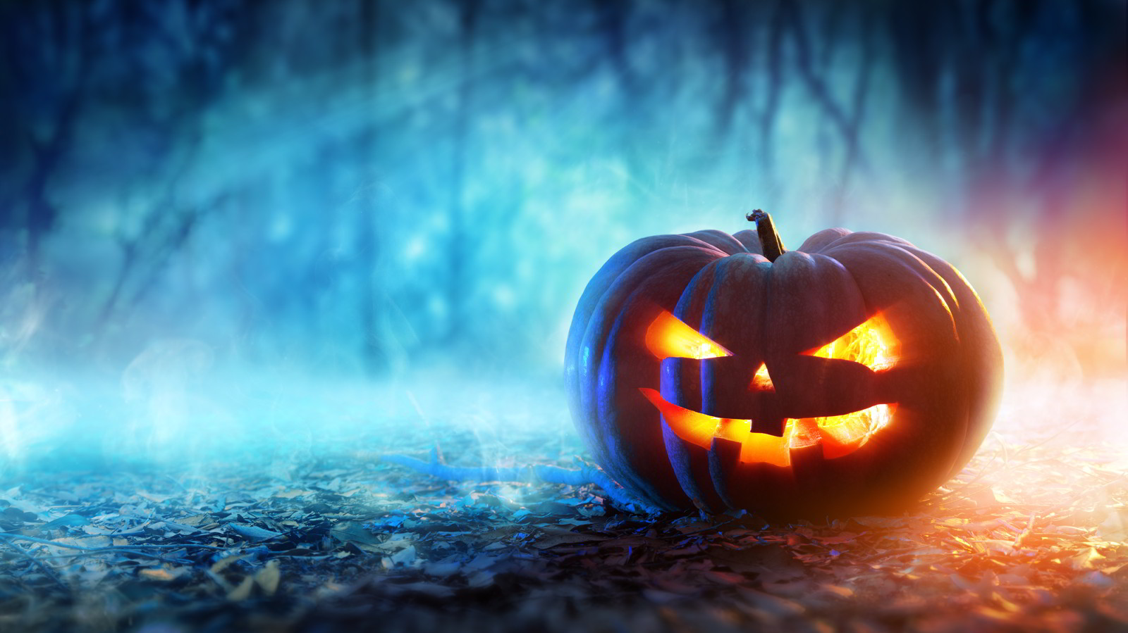 Tổng hợp những hình ảnh về ngày Halloween đẹp, dễ thương và kinh dị - Ảnh 11. Tổng hợp những hình ảnh về ngày Halloween đẹp, dễ thương và kinh dị - Ảnh 11.
