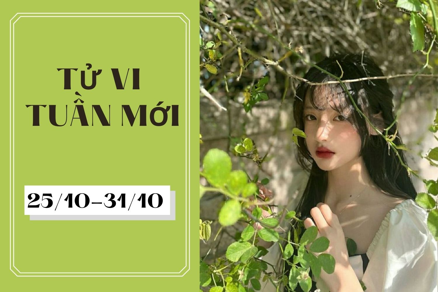 Tử vi tuần mới của 12 con giáp, 12 cung hoàng đạo (25/10-31/10): Sửu công việc phát triển, Song Tử nhiệt tình - Ảnh 1. Tử vi tuần mới của 12 con giáp, 12 cung hoàng đạo (25/10-31/10): Sửu công việc phát triển, Song Tử nhiệt tình - Ảnh 1.