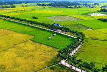 Hải Dương chuyển hơn 17.000 m2 đất nông nghiệp sang 139 lô đất ở để đấu giá