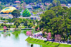 'Giá BĐS tại Đà Lạt chưa bao giờ xuống và hiện đang đi lên do nhiều nhà đầu tư ngoại tỉnh kéo đến'