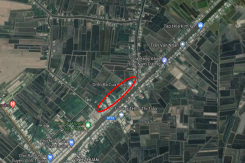 Đất có quy hoạch ở huyện Vĩnh Thuận, tỉnh Kiên Giang